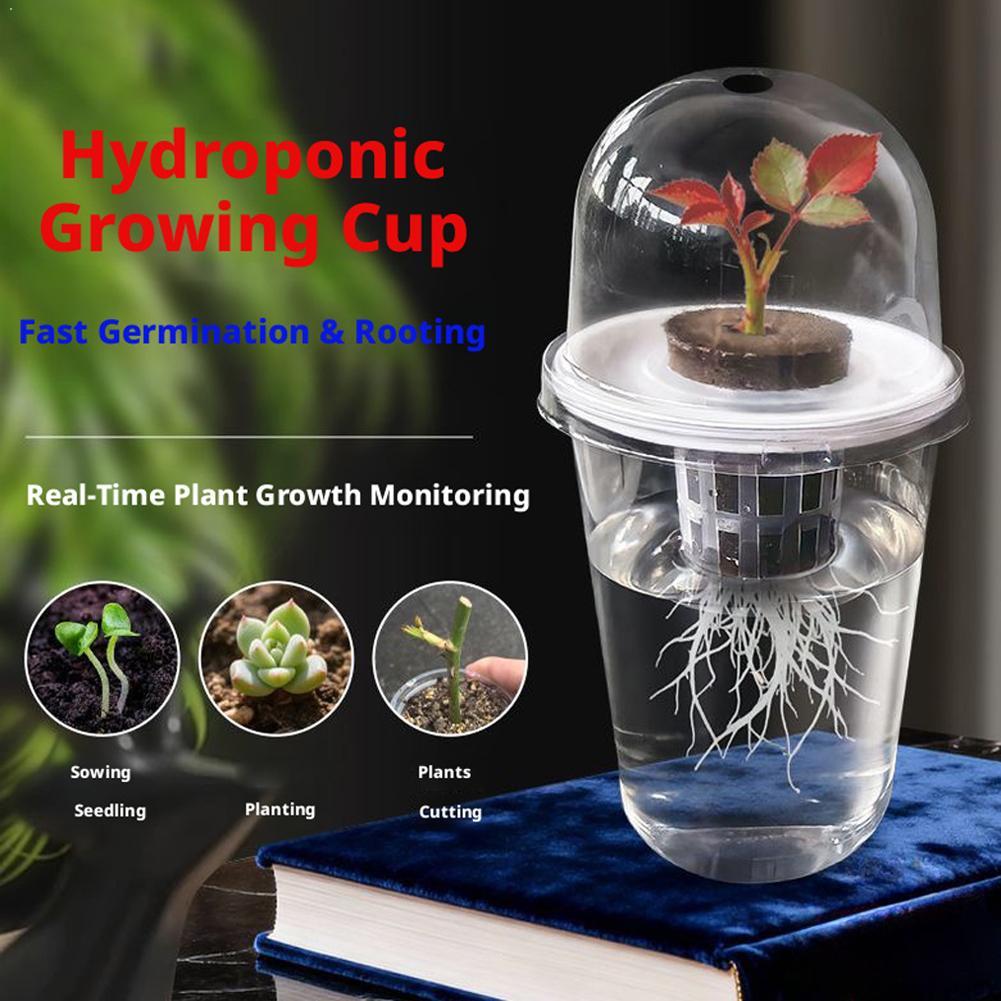 Plant Vegetable Seedling Hydro - Hydroponic Tower review and price