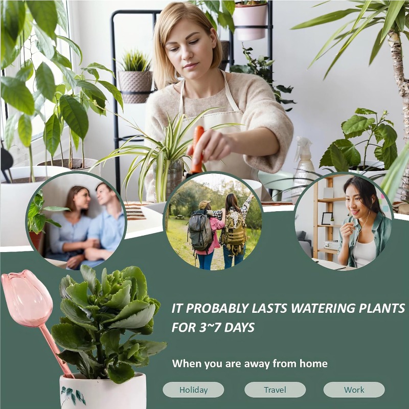 Pink Tulip Plant Watering Ball - Plant Sensor review and price