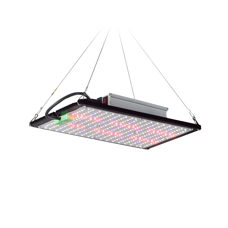 LED Quantum‑Board Grow Light F - Plant Grow Light Full Spectrum review and price
