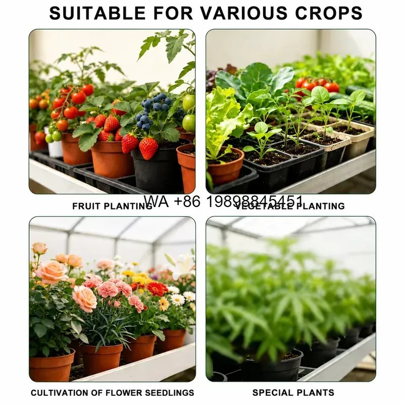 Wmwmnu Hot Selling Track Rolli - Smart Garden System review and price