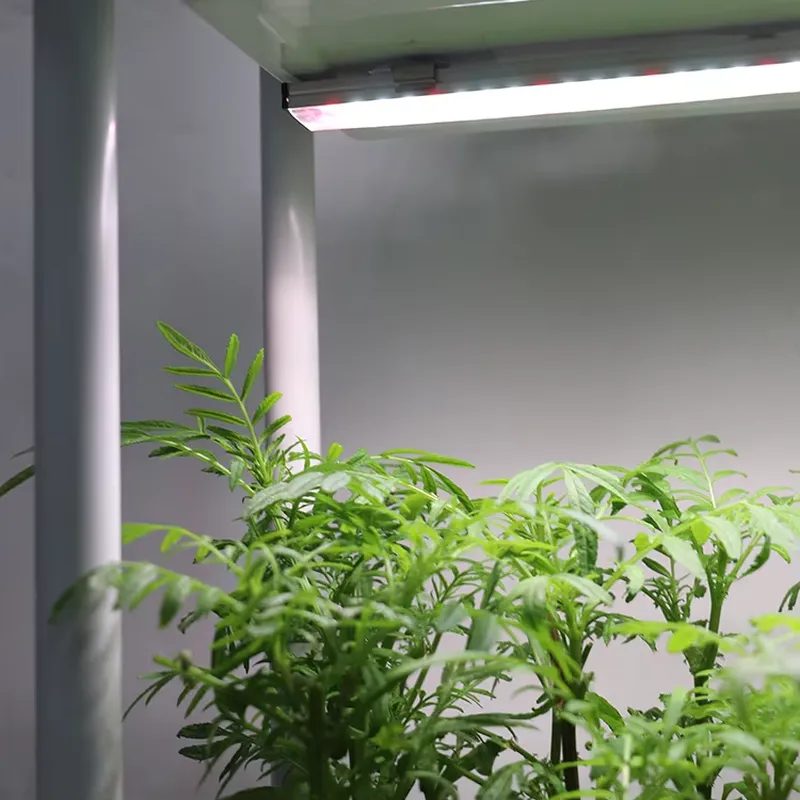 Movable Vertical Grow 3 Level  - Smart Garden System review and price