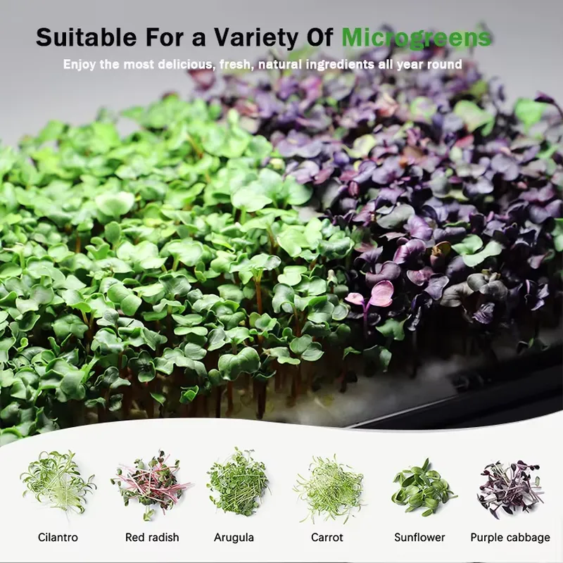 Microgreens Self Watering Hydr - Self Watering Planter review and price