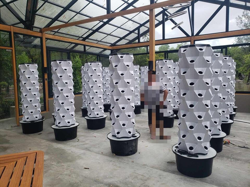 Greenhouse Vertical Farming Hy - Hydroponic Tower review and price