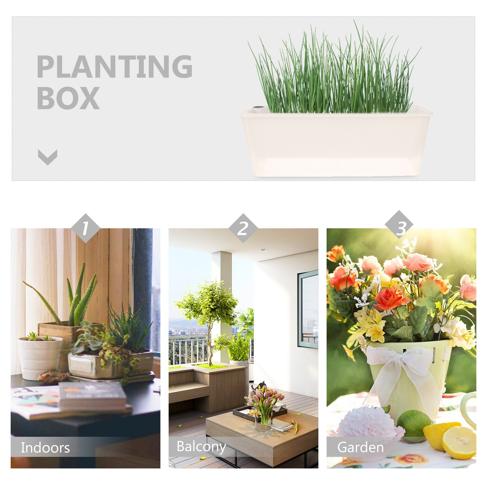 Rectangle Planter Box Long Pla - Self Watering Planter review and price
