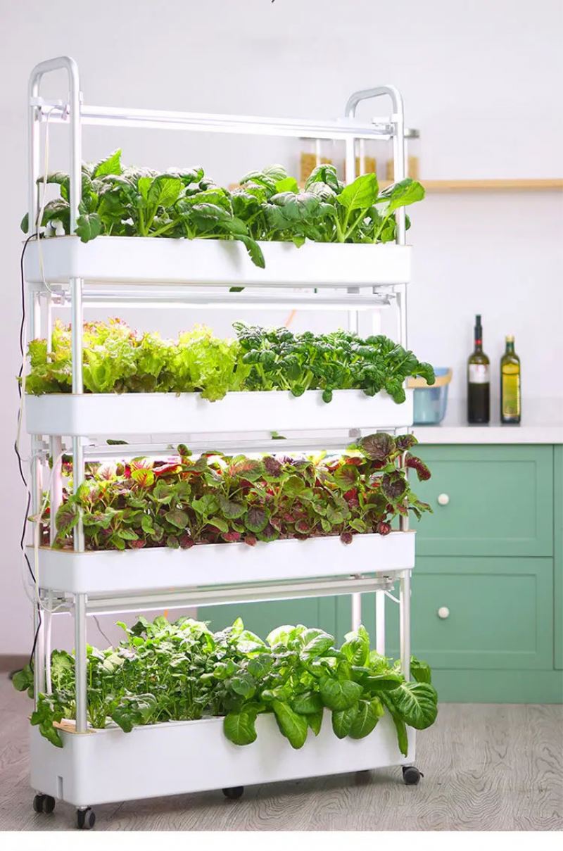 Home Use Vertical Hydroponic T - Hydroponic Tower review and price