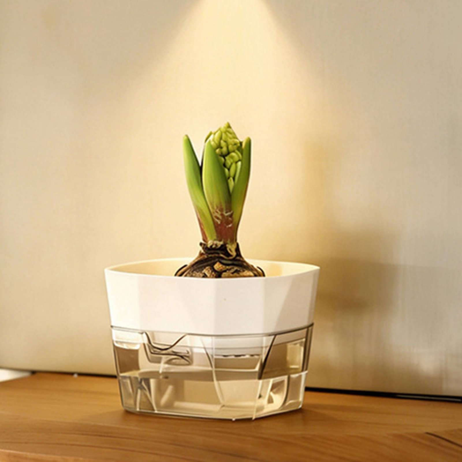 Hydroponic Bulb Vase 2-Tier De - Automatic Watering review and price