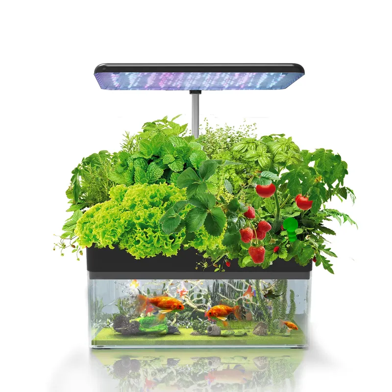 Brand IGS-70 Indoor Hydroponic - Smart Garden System review and price