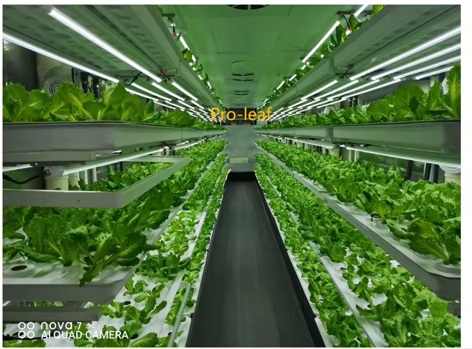 f Greenhouse Agricultural Equi - Hydroponic Tower review and price