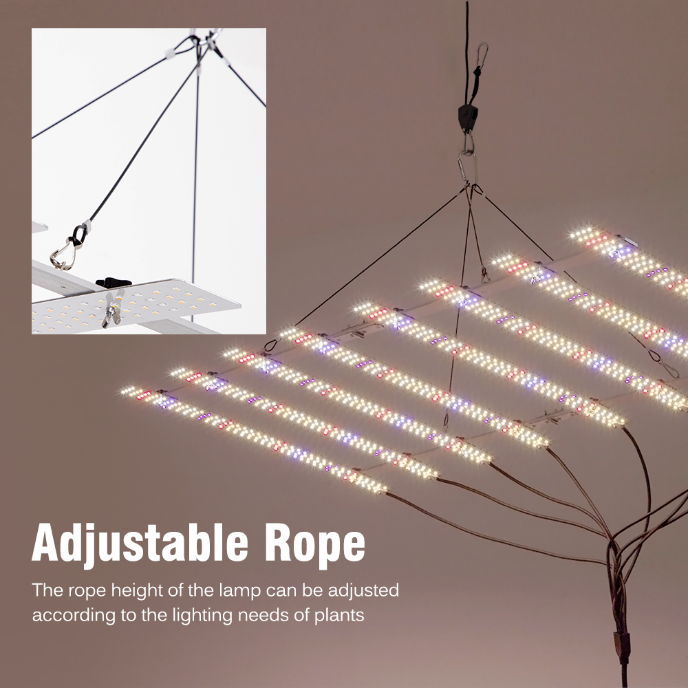🌴100W 200W with Dimmable Switc - Plant Grow Light Full Spectrum review and price