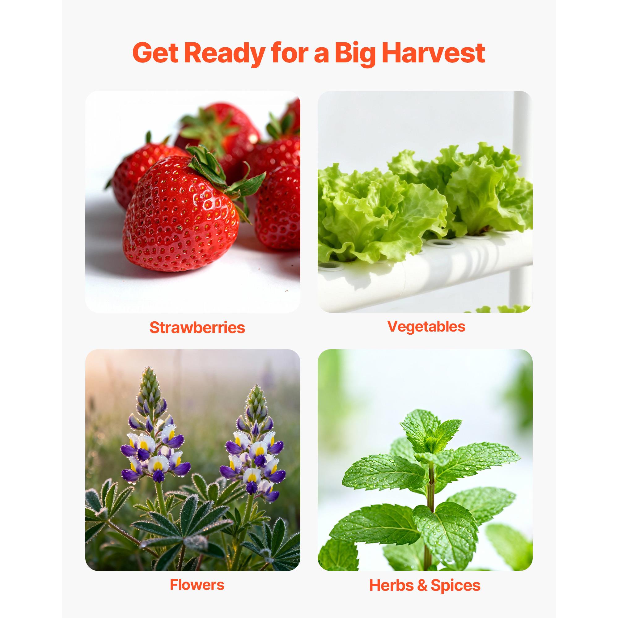 3 Tier 90 Sites Hydroponic Gro - Indoor Garden Kit review and price