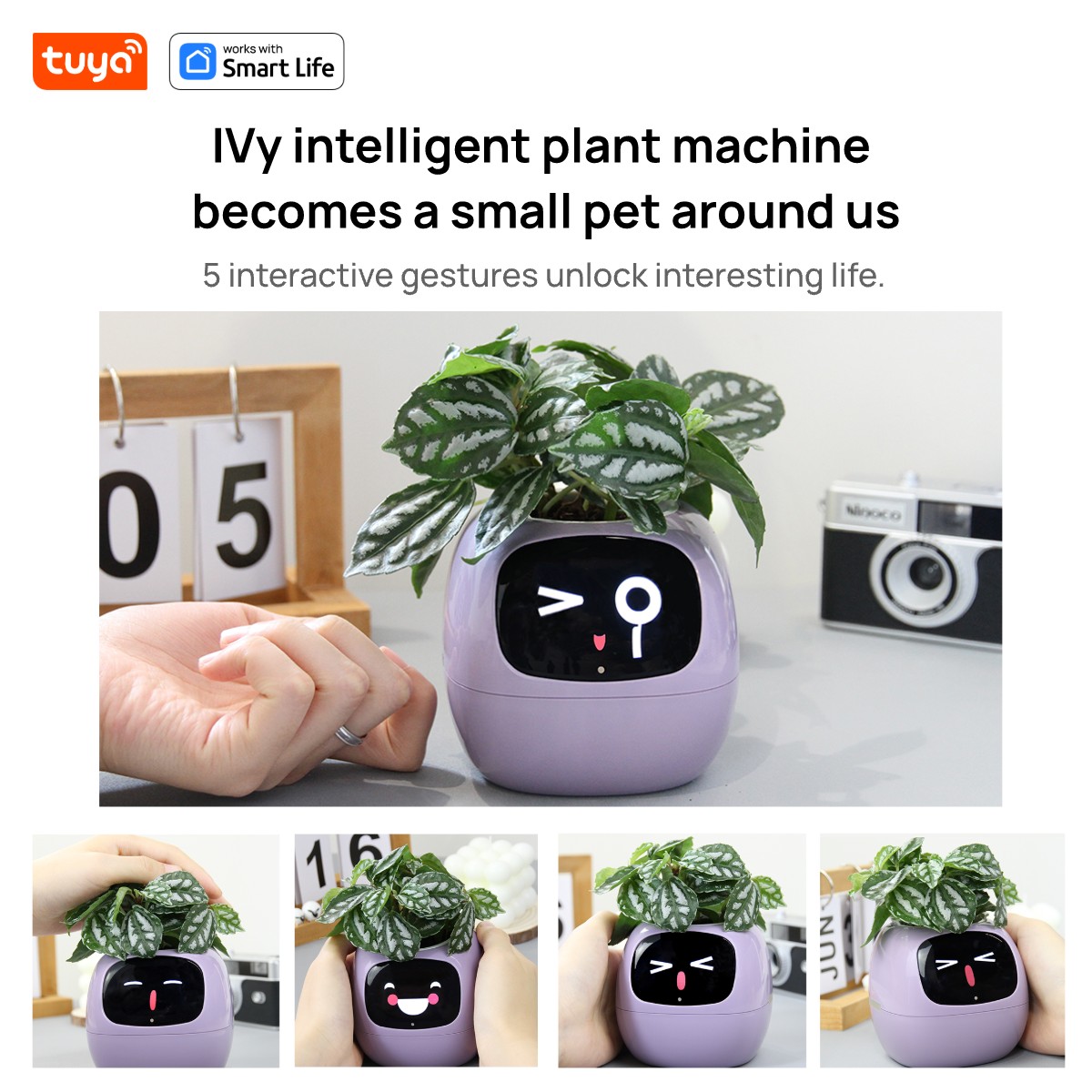 pink Tuya Ivy Smart Planter,En - Smart Pot review and price