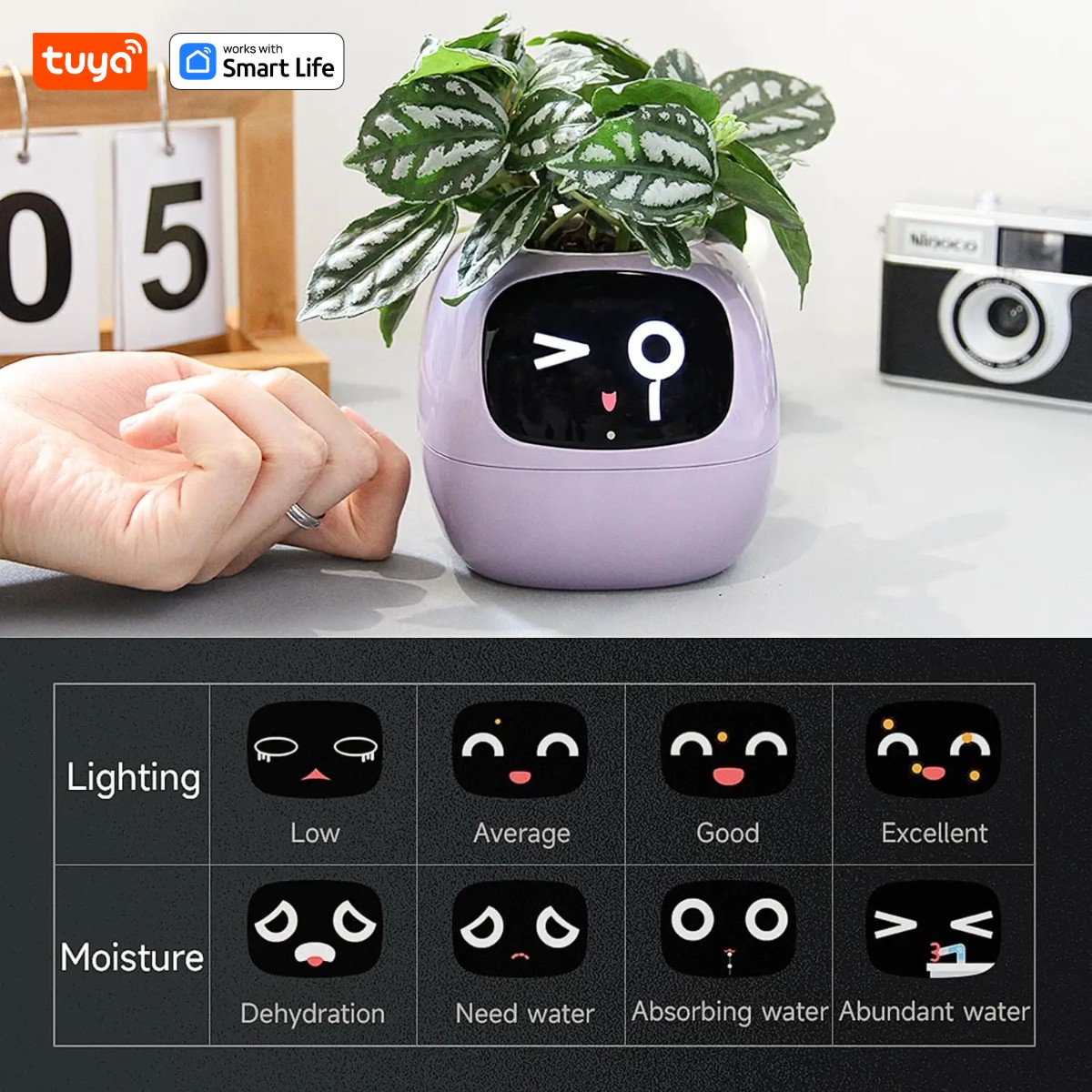 pink Tuya Ivy Smart Planter,En - Smart Pot review and price