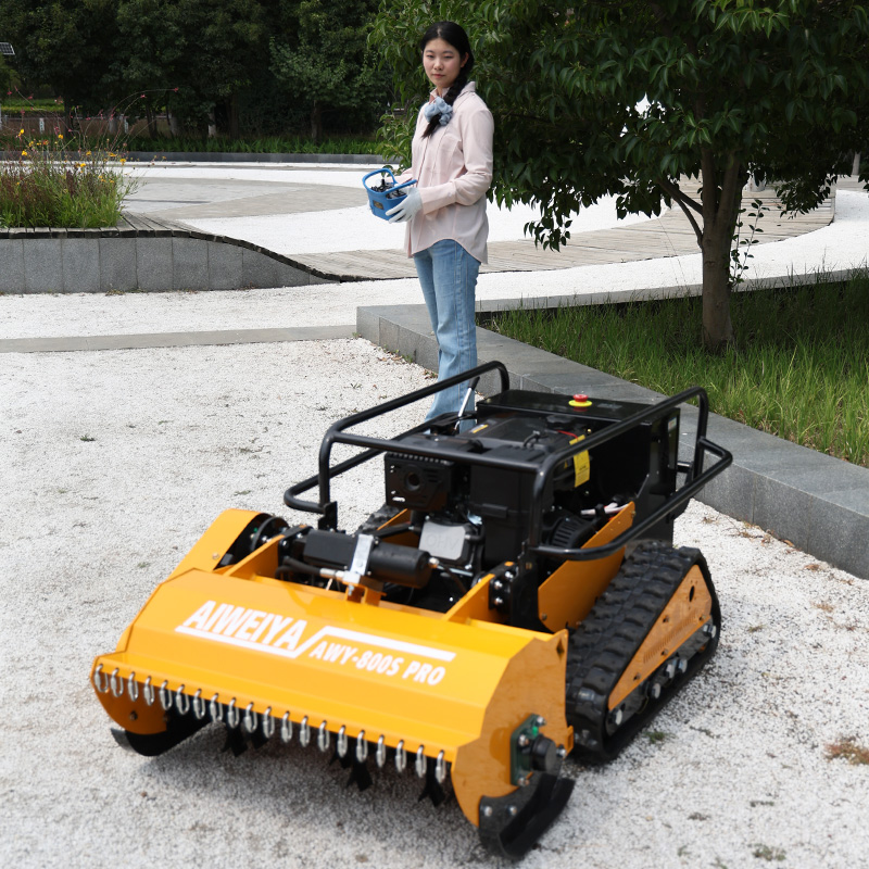 Customized cordless rc remote  - Smart Garden System review and price
