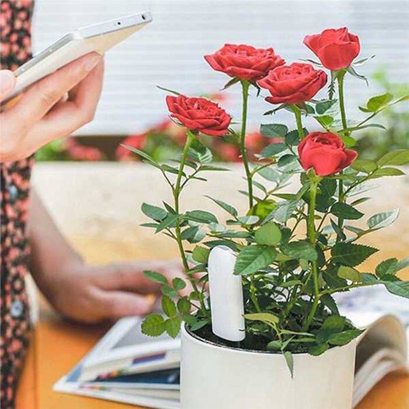 ABVG-Flora Smart Flower Monito - Plant Sensor review and price