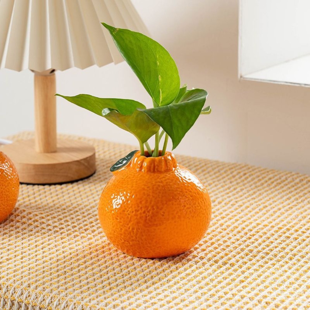 Cute Orange Shaped Ceramic Vas - Hydroponic Grow Pod review and price