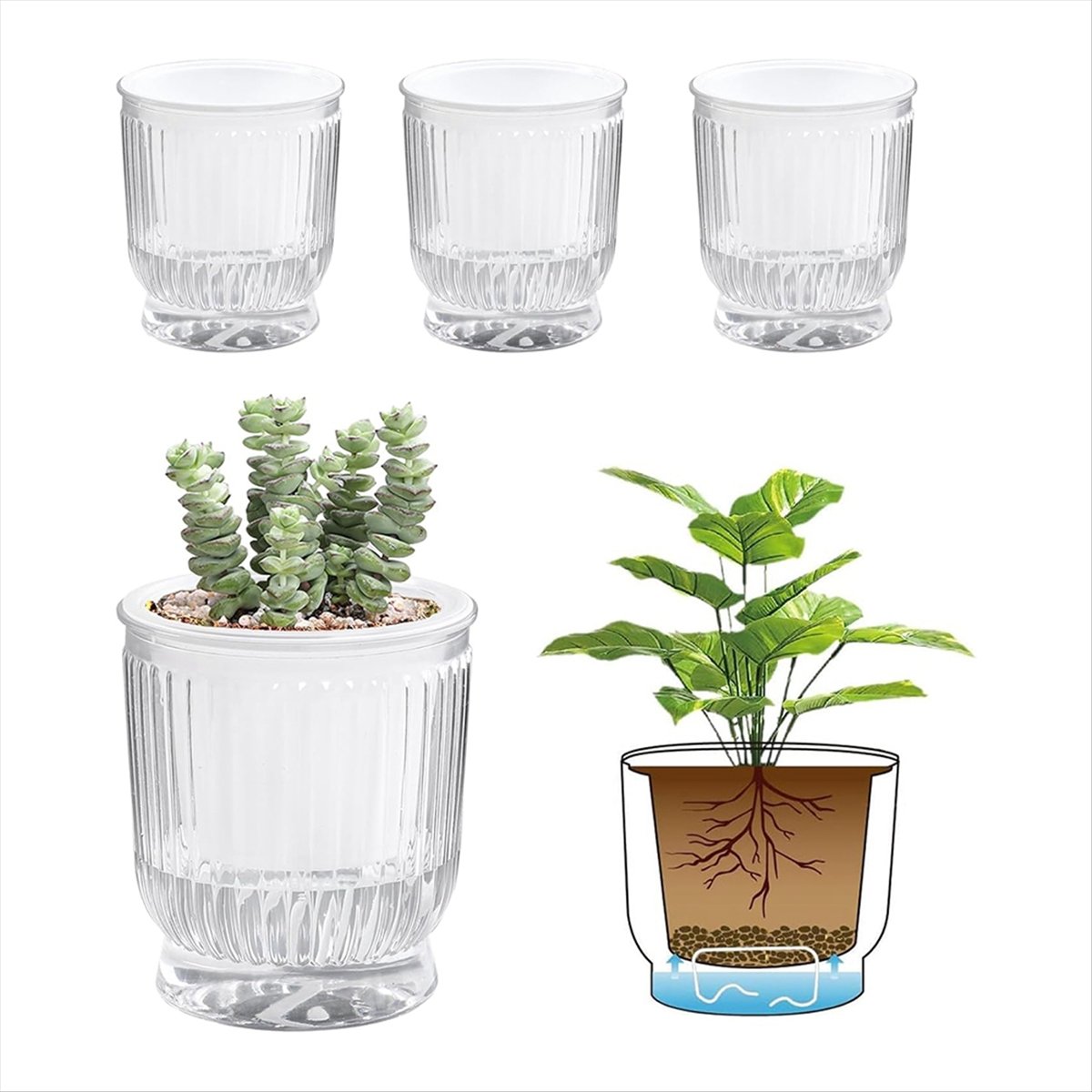 Self Watering Plant Pots, 4 In - Self Watering Planter review and price