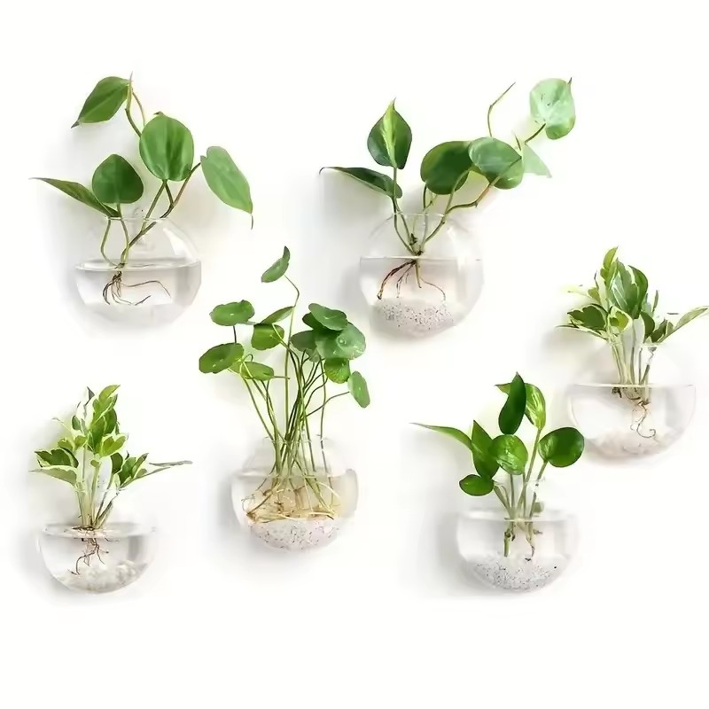 2/4/6 Pack Wall Hanging Glass  - Self Watering Planter review and price