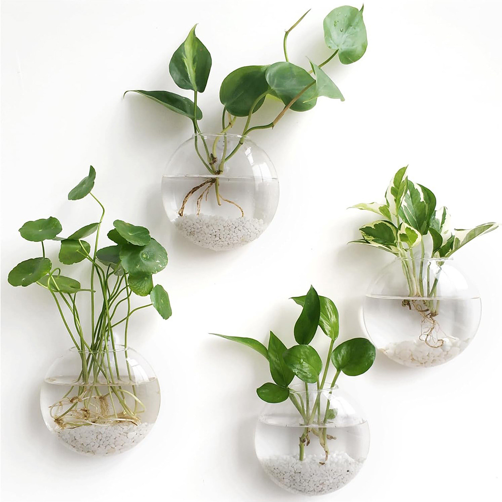 2/4/6 Pack Wall Hanging Glass  - Self Watering Planter review and price