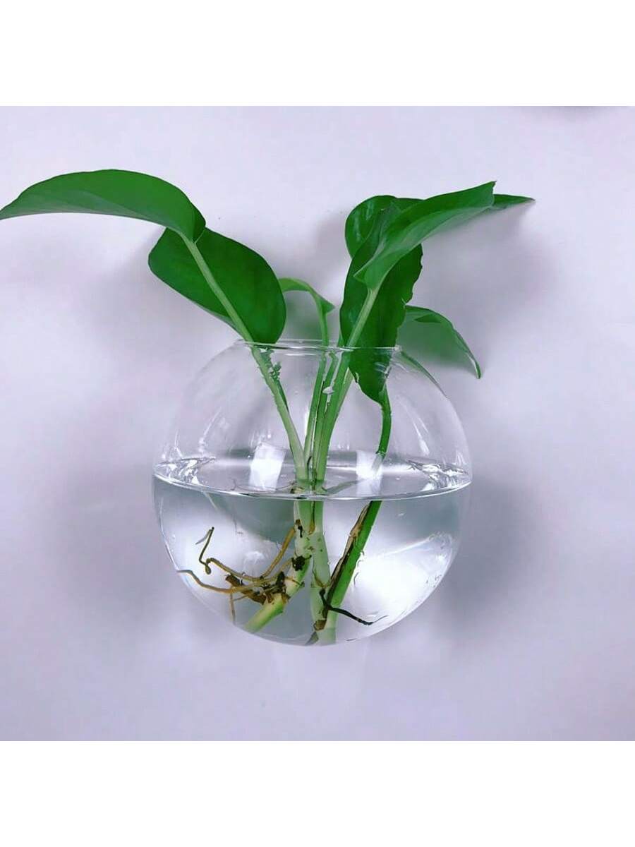 2/4/6 Pack Wall Hanging Glass  - Self Watering Planter review and price
