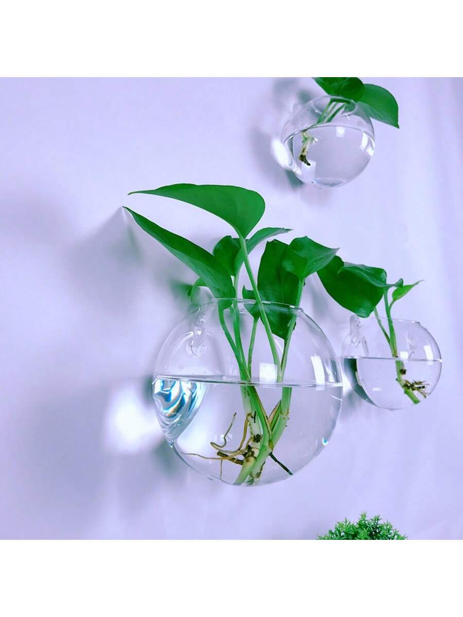 2/4/6 Pack Wall Hanging Glass  - Self Watering Planter review and price