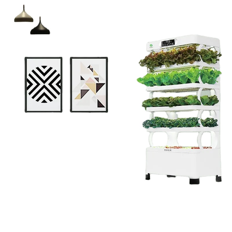 Vertical Farming Hydroponic In - Smart Garden System review and price