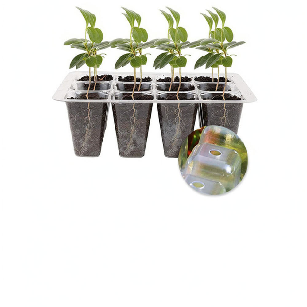 Plant Grow Light Starter Kit H - Indoor Garden Kit review and price