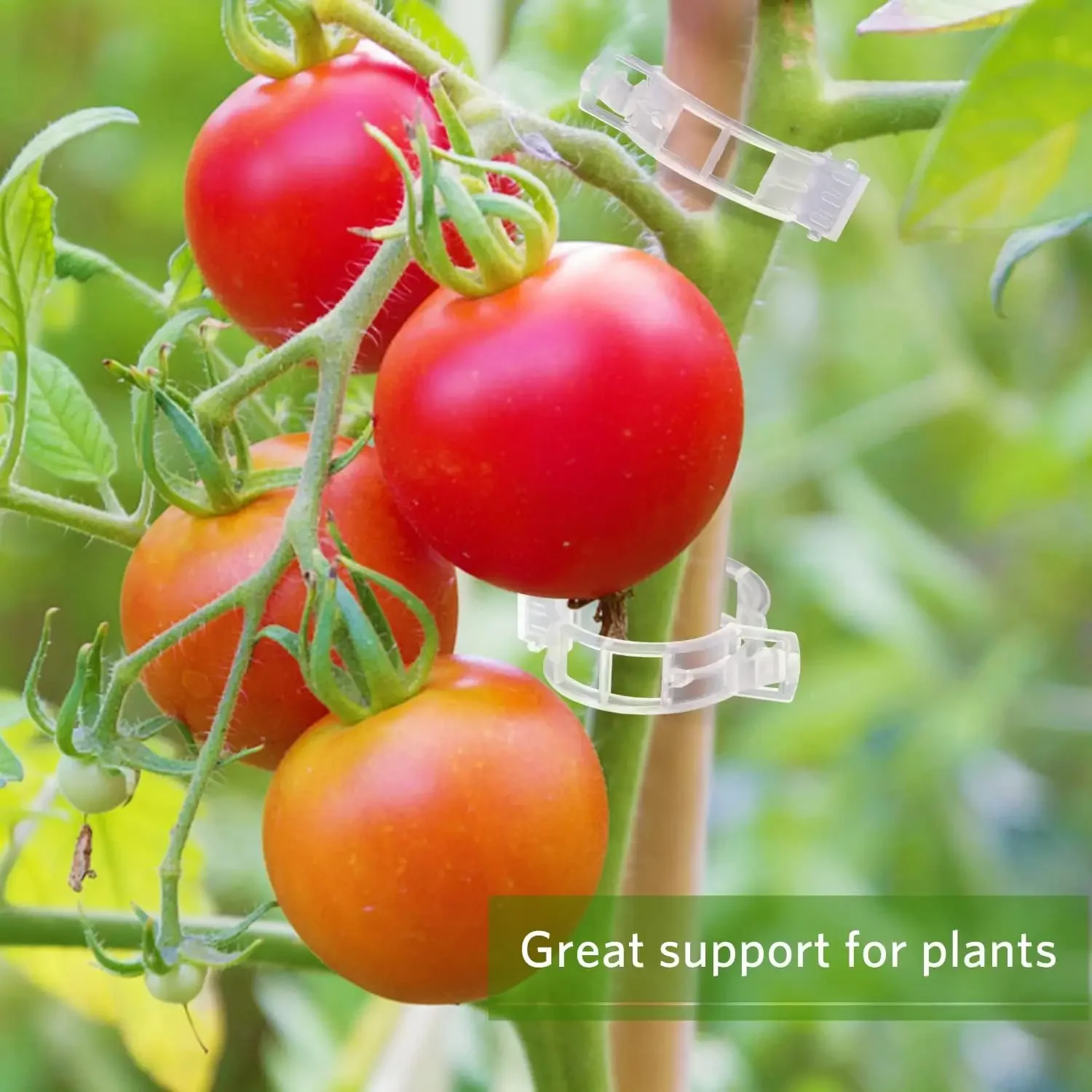 Plant Support Clips Reusable P - Smart Garden Kit review and price