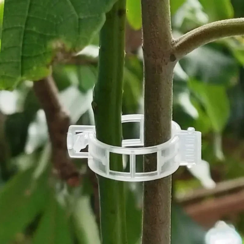 Plant Support Clips Reusable P - Smart Garden Kit review and price