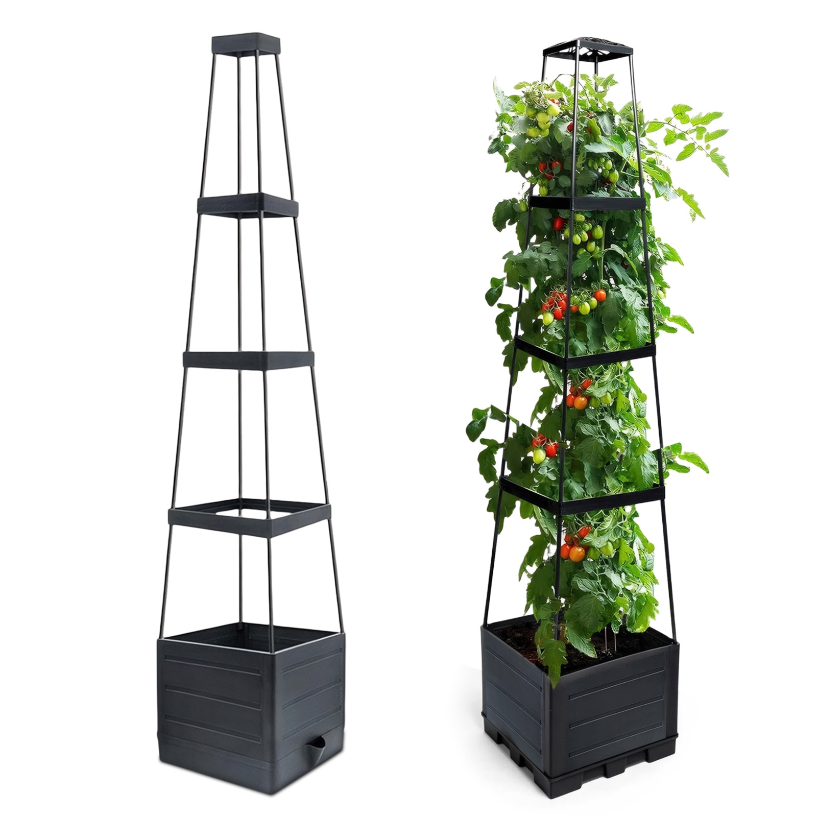 Raised Garden Bed Planter Box  - Self Watering Planter review and price