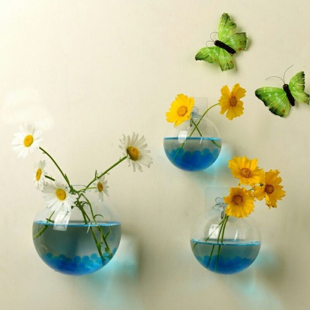 Transparent Glass Vase Wall Ha - Hydroponic Grow Pod review and price
