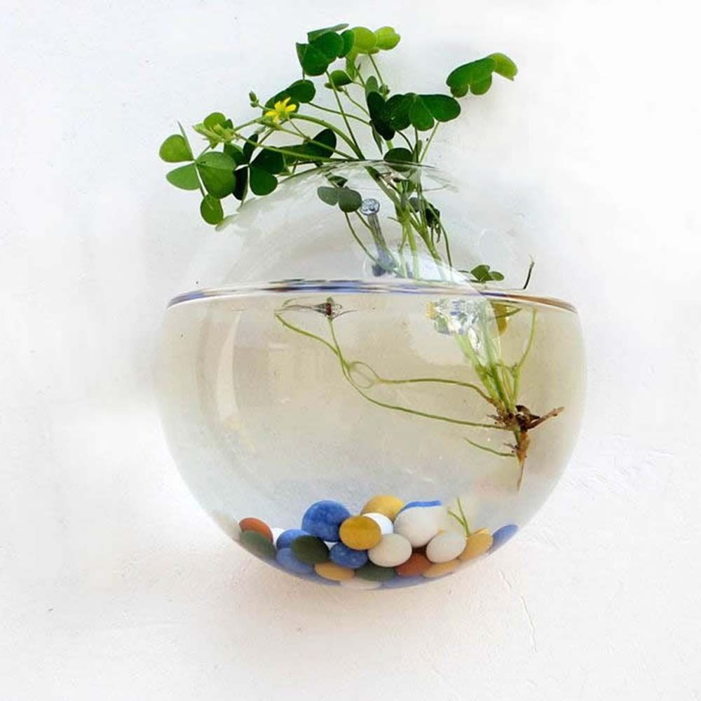 Transparent Glass Vase Wall Ha - Hydroponic Grow Pod review and price