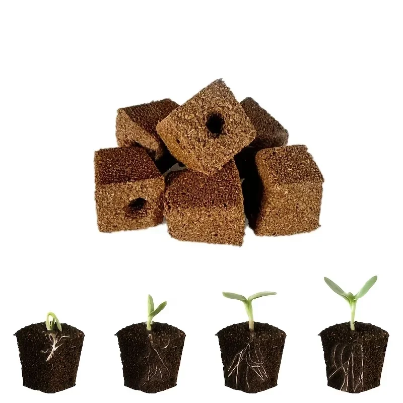 Seedling Starter Sponge Kit fo - Indoor Garden Kit review and price