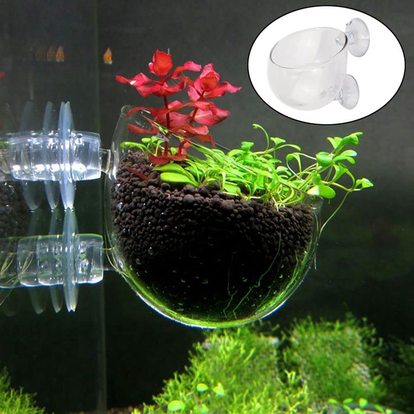 Aquatic Plant Pot Clear Acryli - Hydroponic Grow Pod review and price