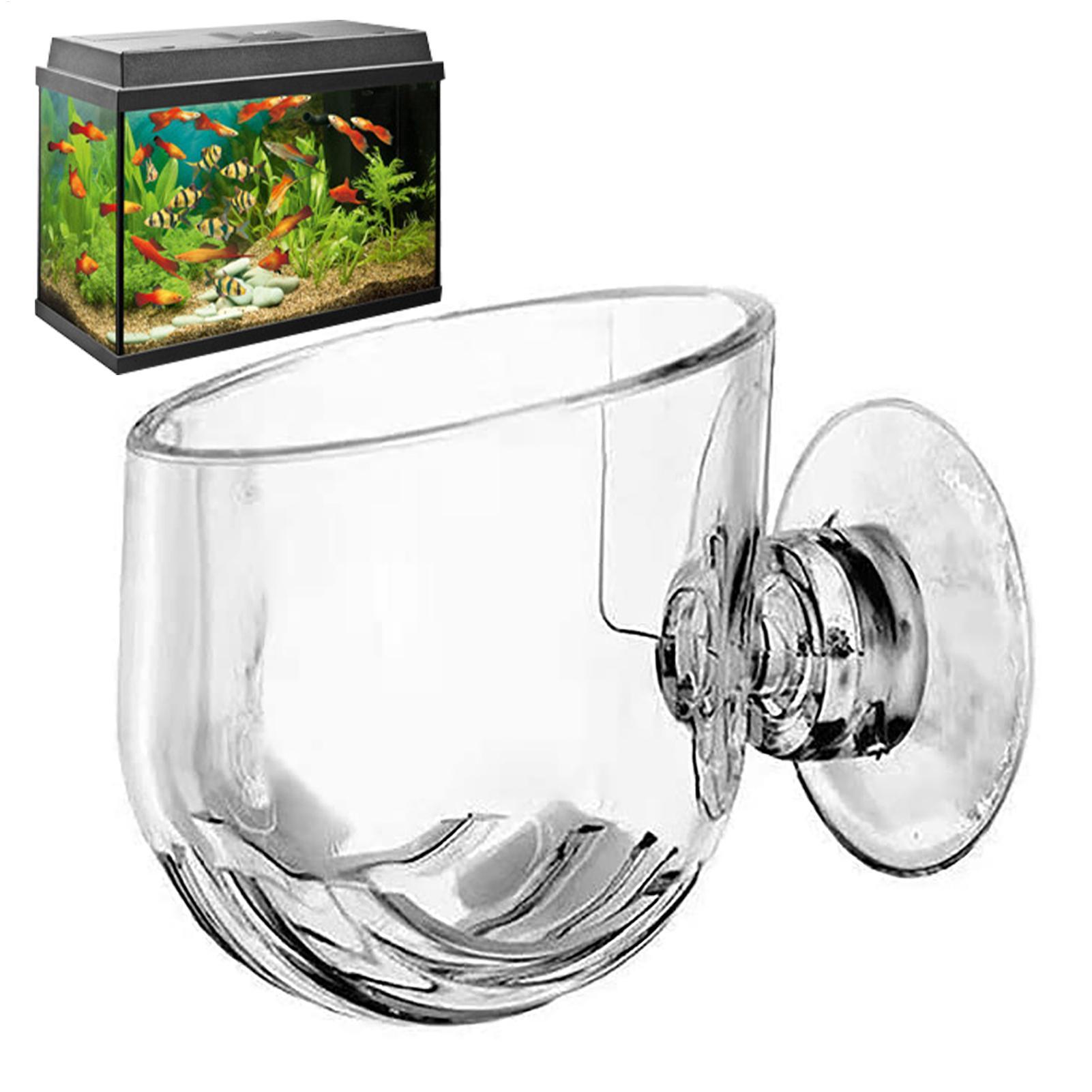 Aquatic Plant Pot Clear Acryli - Hydroponic Grow Pod review and price