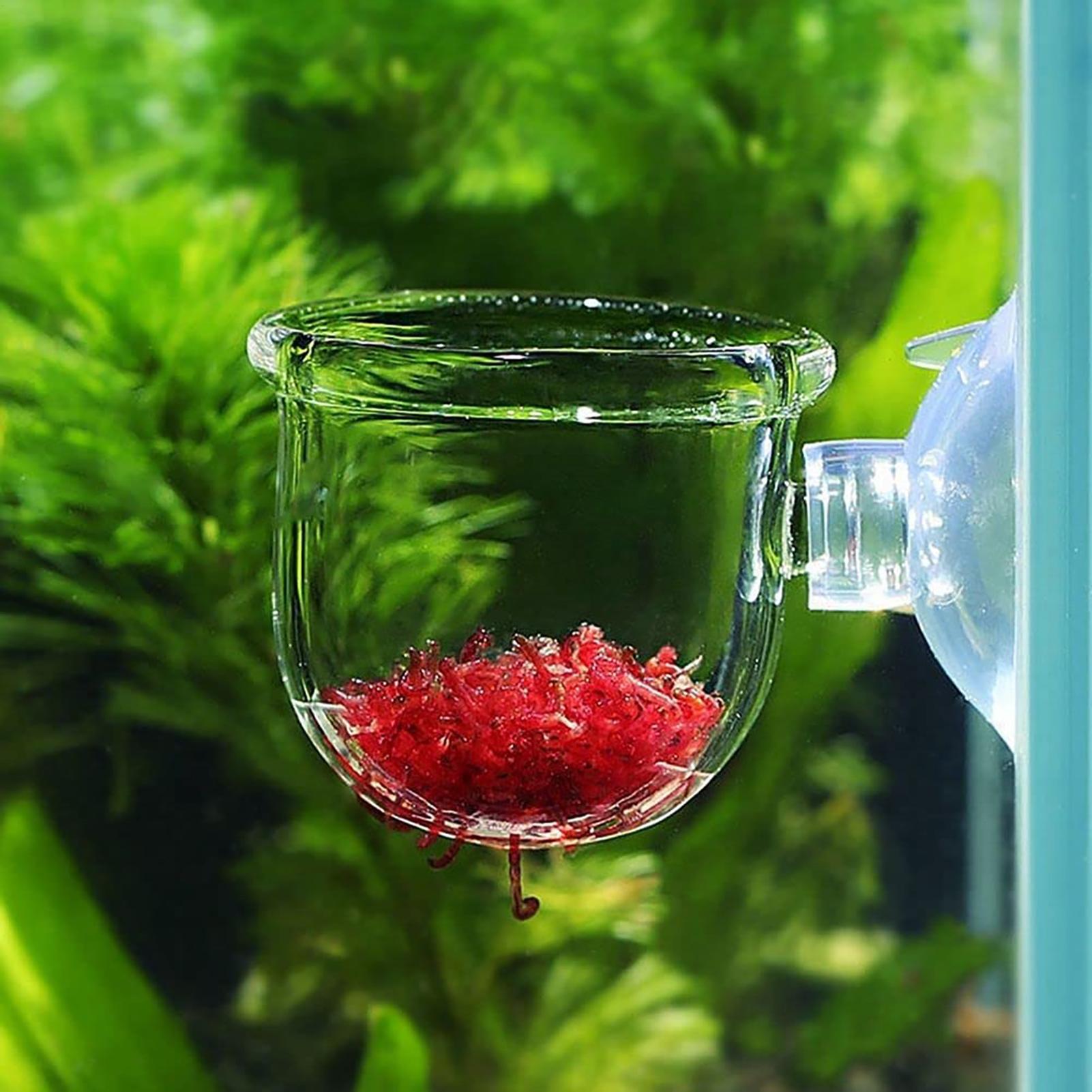 Aquatic Plant Pot Clear Acryli - Hydroponic Grow Pod review and price