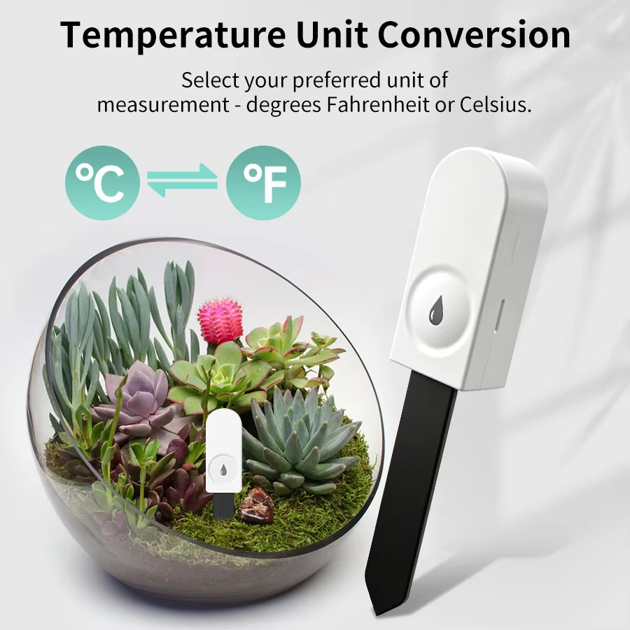 Zigbee 3.0 Plant Monitor Soil  - Plant Monitor review and price