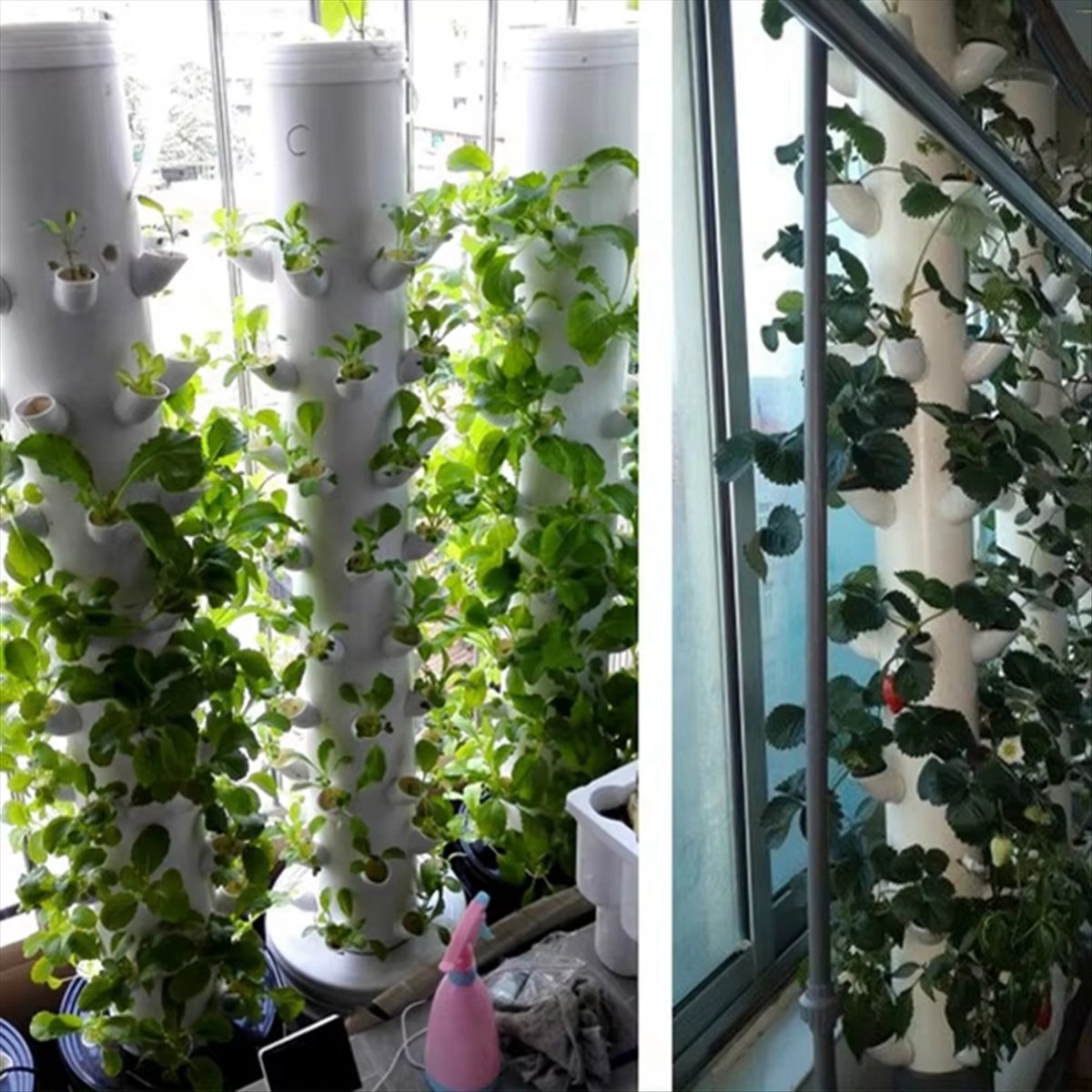 Hydroponic Vertical Tower Cont - Hydroponic Tower review and price
