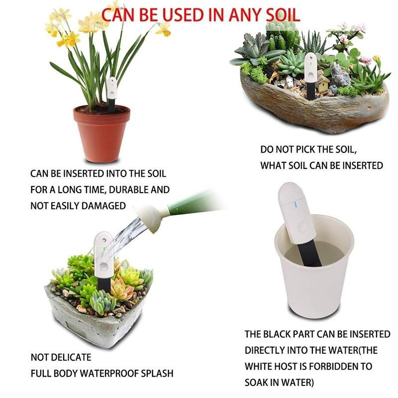 Intelligent Soil Moisture Test - Plant Monitor review and price