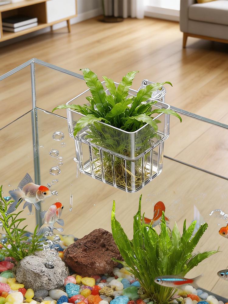 Aquarium Plant Holder Transpar - Hydroponic Grow Pod review and price