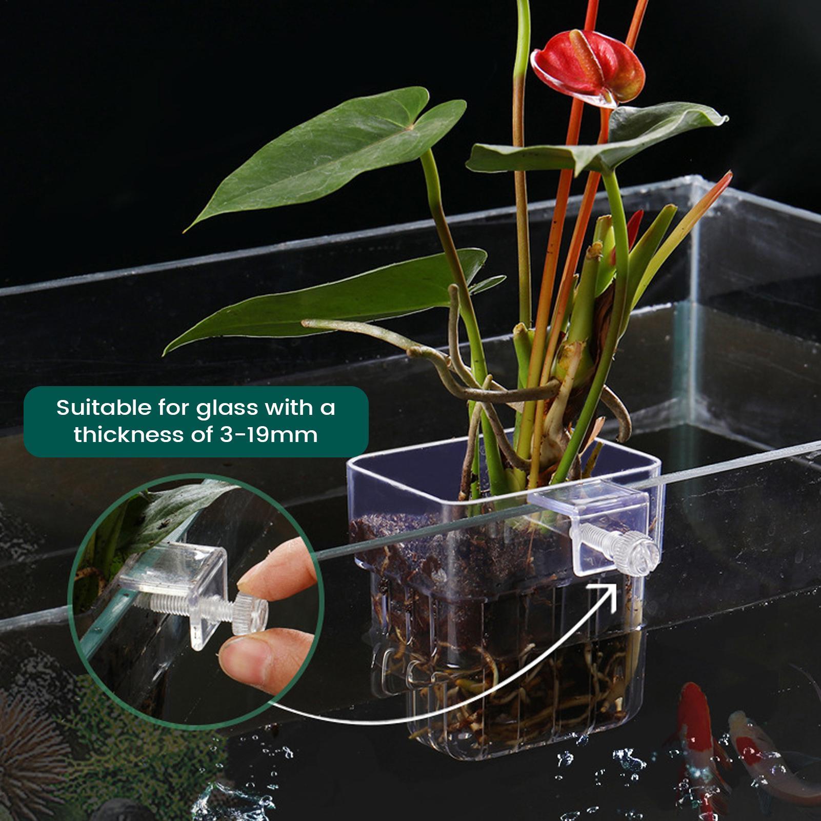 Aquarium Plant Holder Transpar - Hydroponic Grow Pod review and price