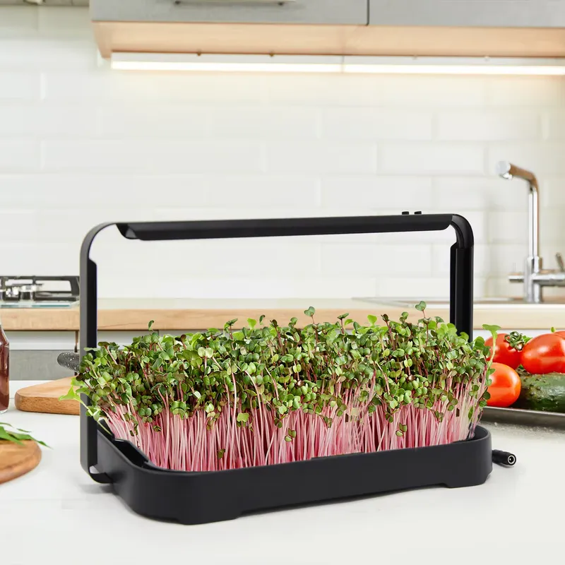 Hydroponic Tray Indoor Microgr - Smart Garden System review and price