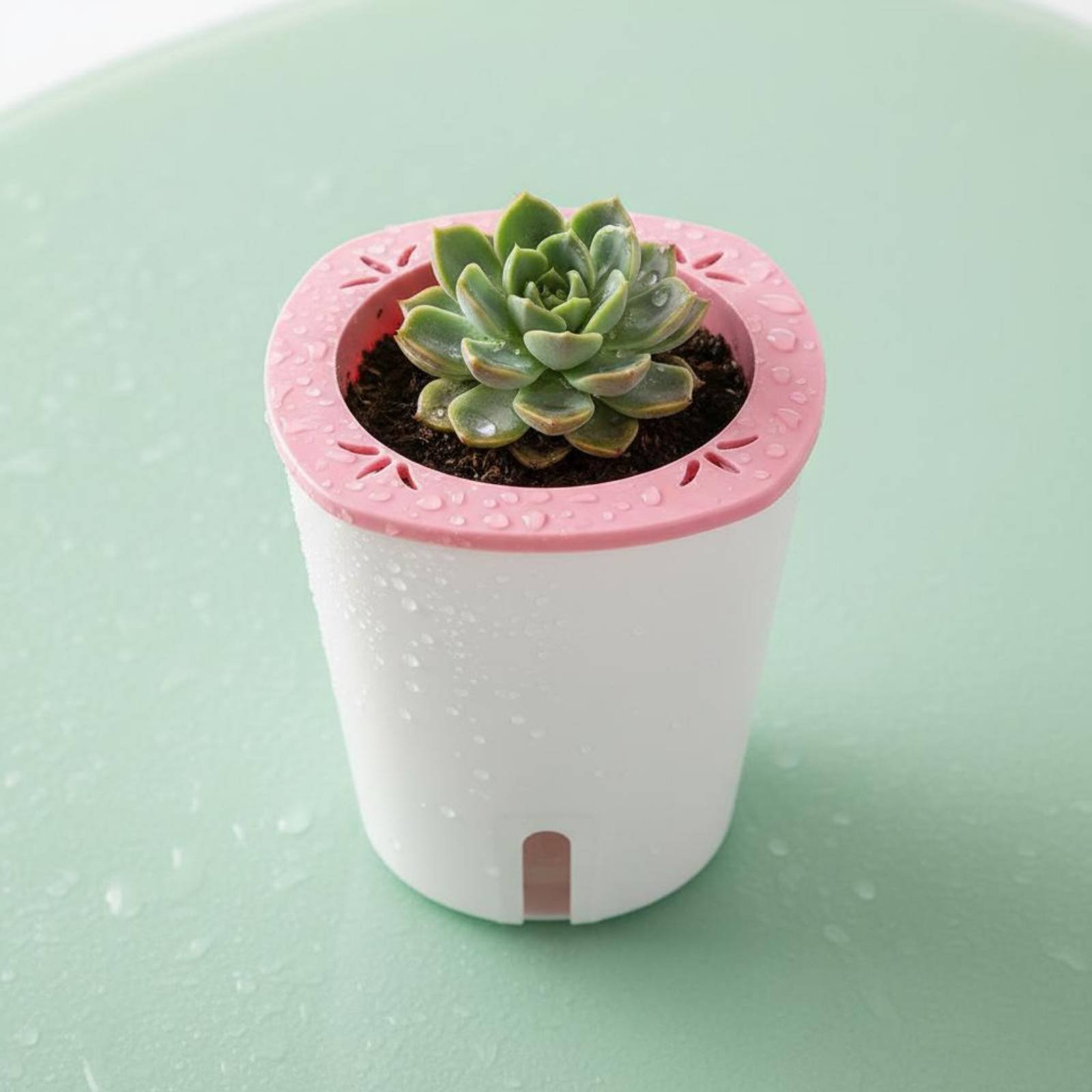 Self Watering Planter Large Si - Self Watering Planter review and price
