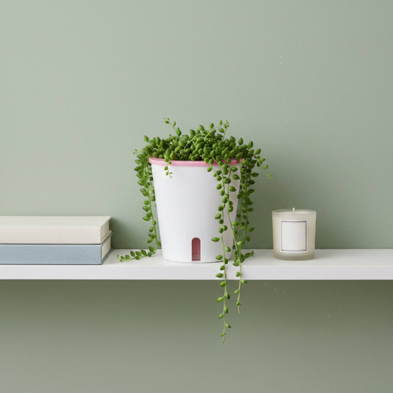 Self Watering Planter Large Si - Self Watering Planter review and price