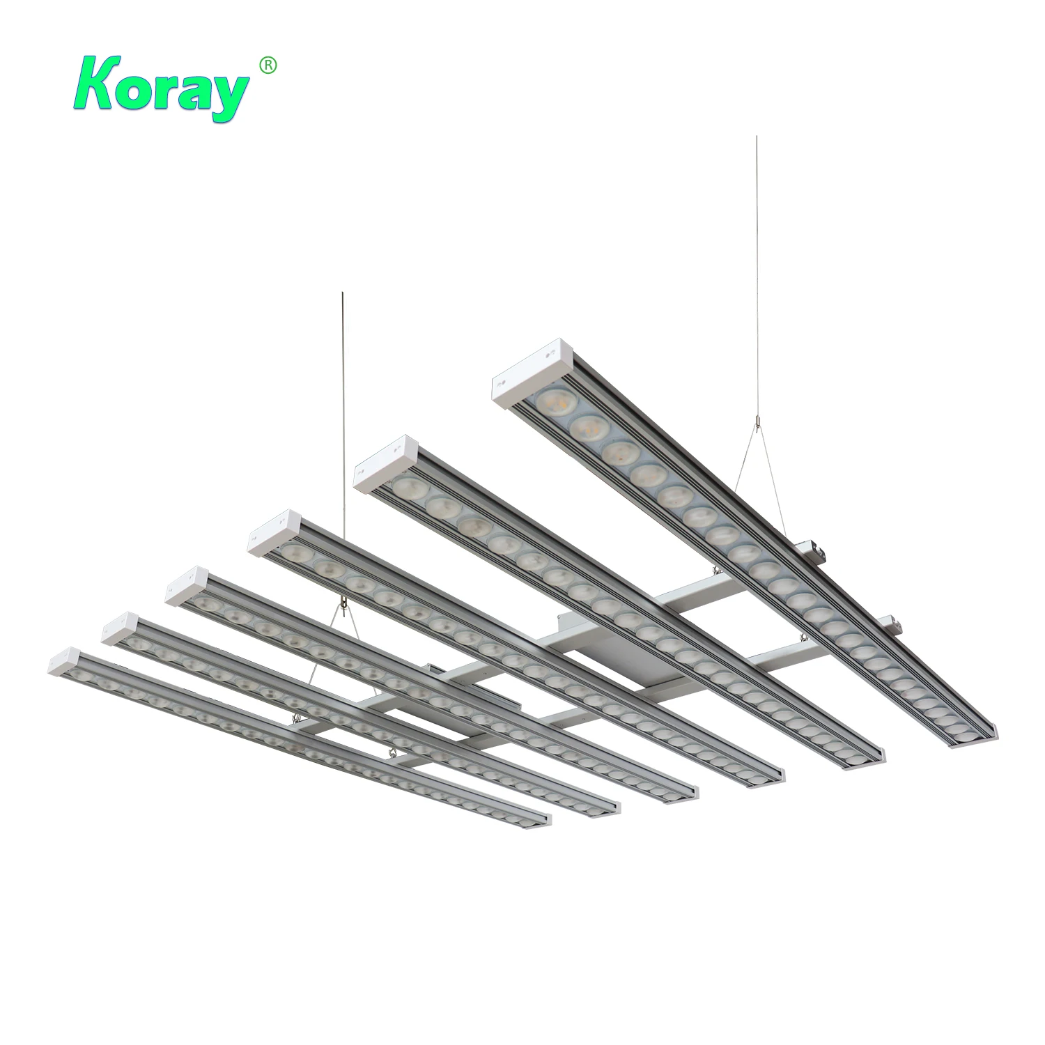 Koray 900W Indoor full spectru - Plant Grow Light Full Spectrum review and price
