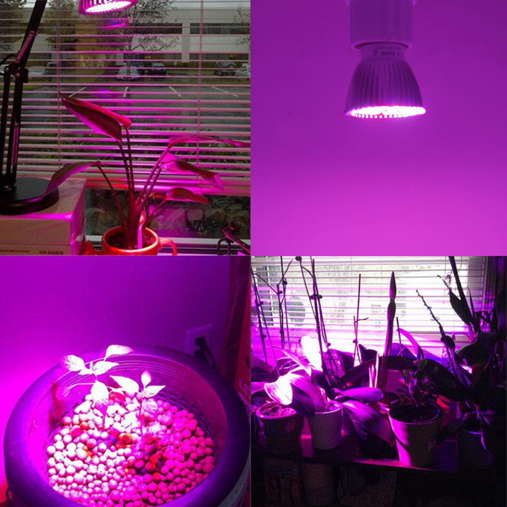 LED Plant Growth Lamp Full Spe - Plant Grow Light Full Spectrum review and price