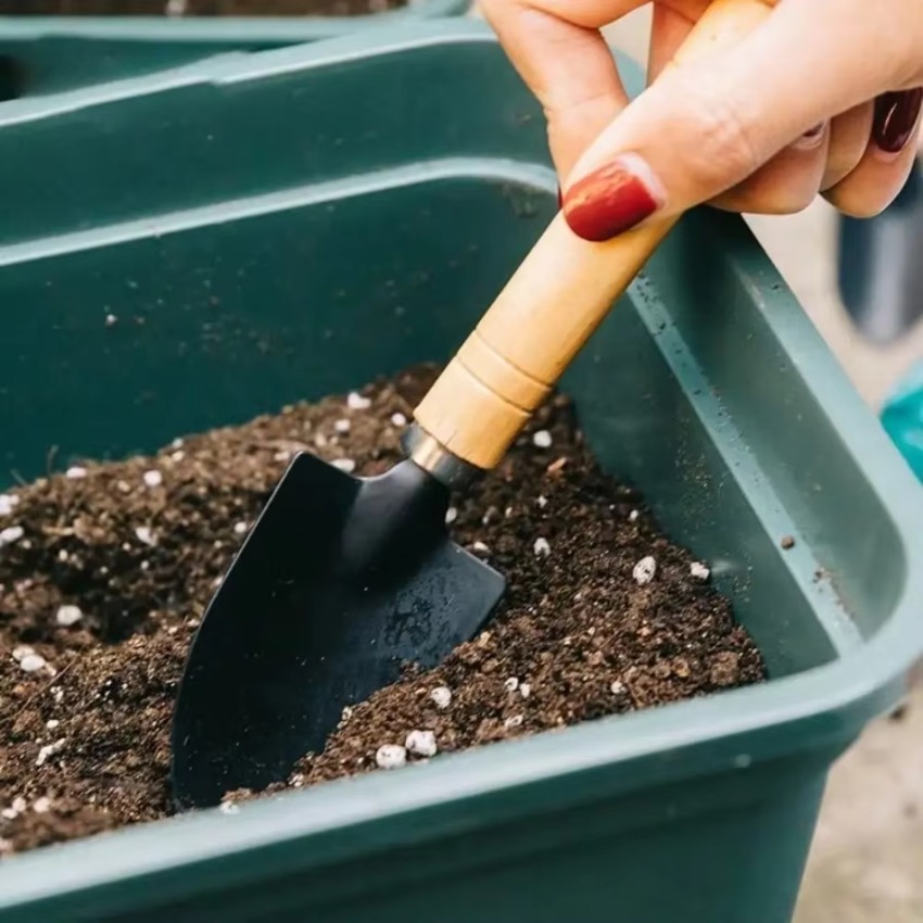 3Pcs/Set Mini Gardening Tools  - Indoor Garden Kit review and price