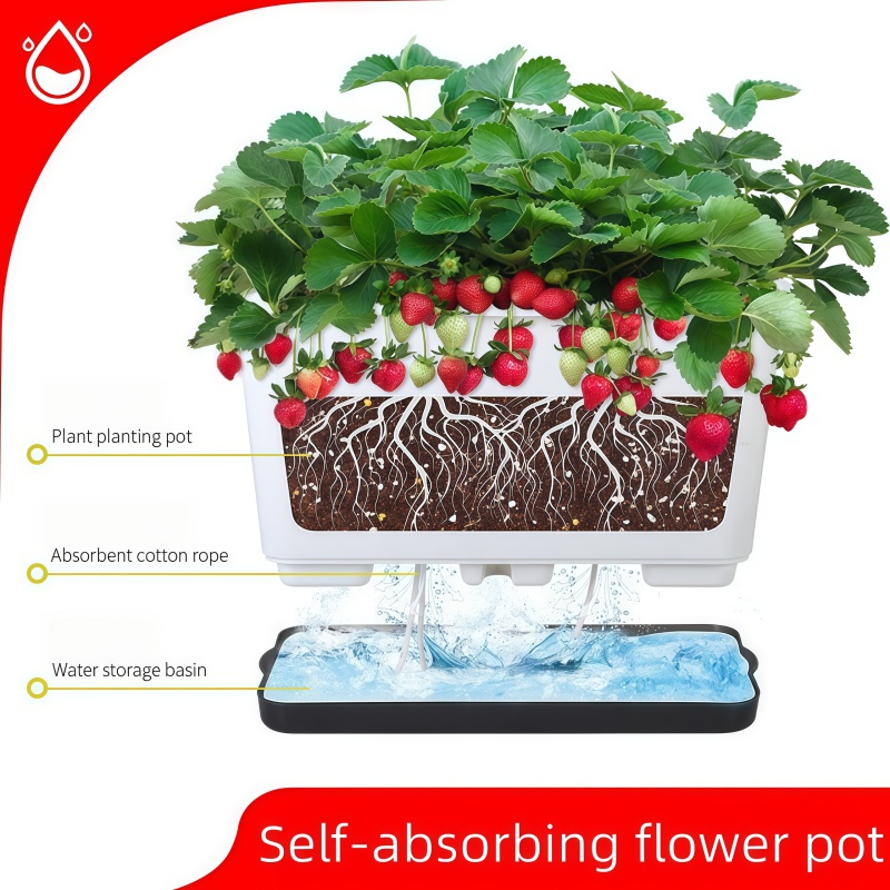 Widened Self Watering Planter  - Self Watering Planter review and price