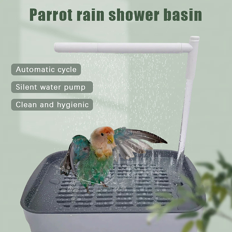 New Sale 2026 Automatic Parrot - Automatic Watering review and price