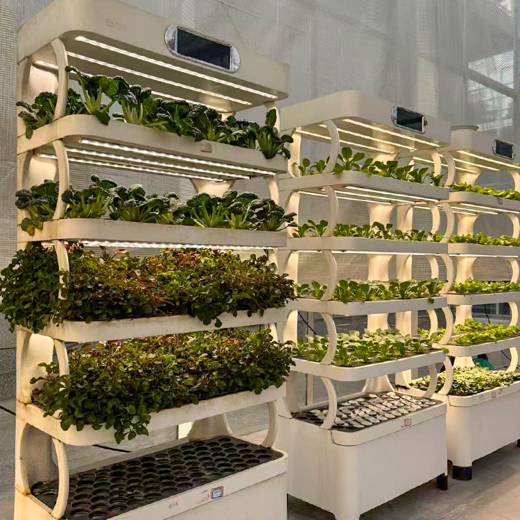 Intelligent Indoor Garden Plan - Smart Garden System review and price