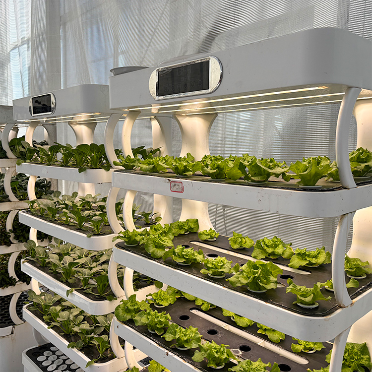 Intelligent Indoor Garden Plan - Smart Garden System review and price